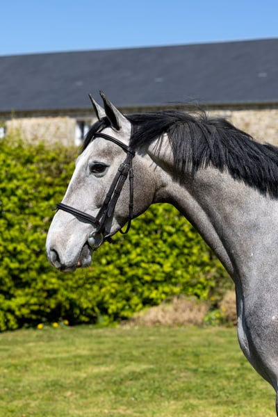 Lord Memory For You profile photo