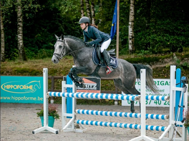 A - il est Beau de l’Otri profile photo