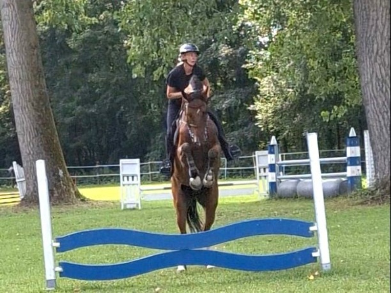 Commodores Vd Ark Z profile photo 