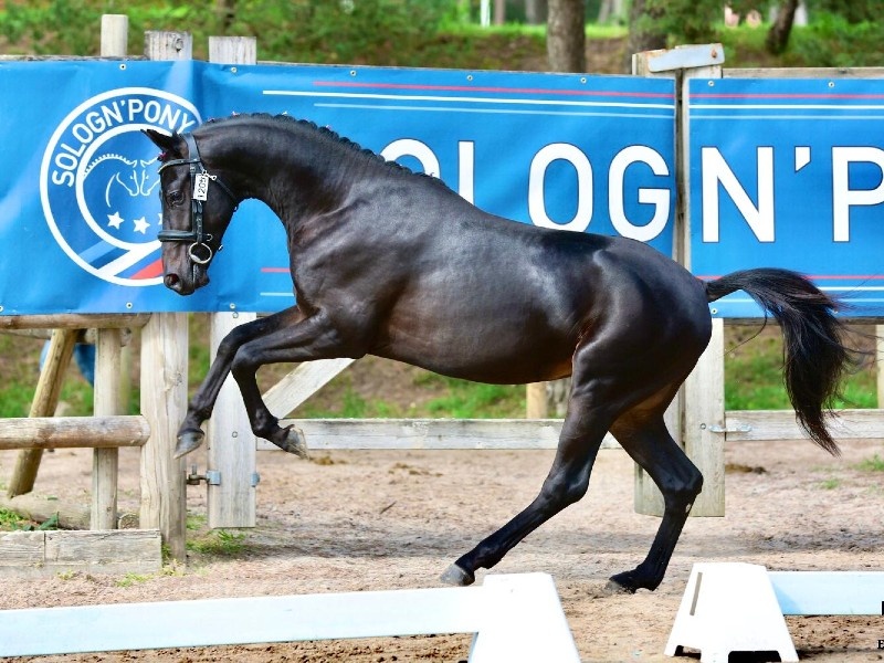 Litsby O Baz profile photo