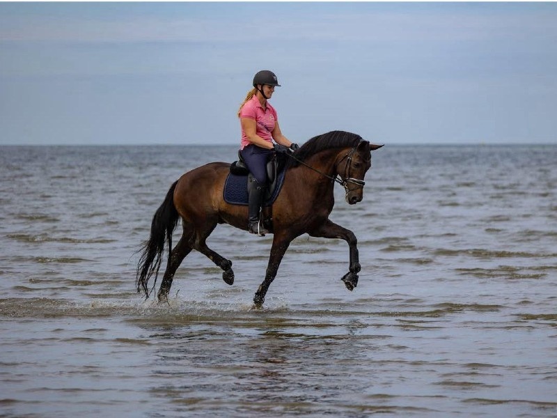 Koblenz profile photo