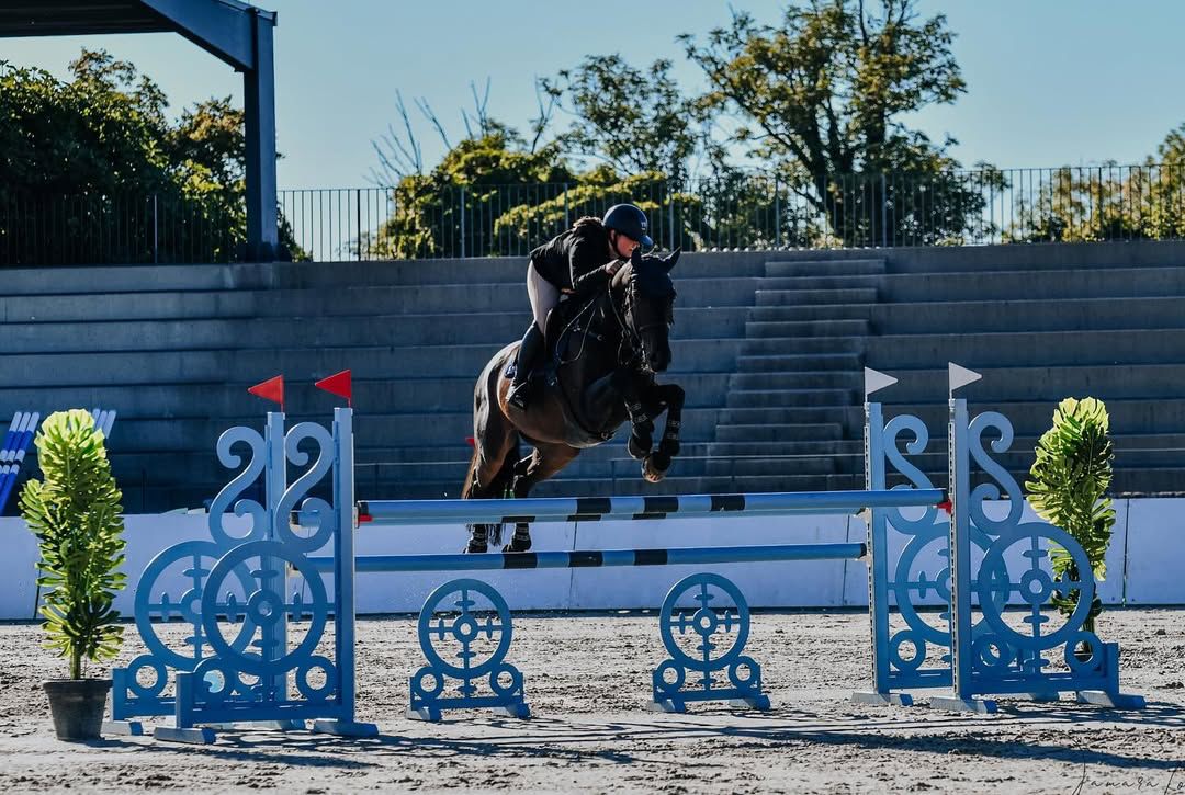  Mandela and Liarada S: Rising Strength in Slovenia case study image