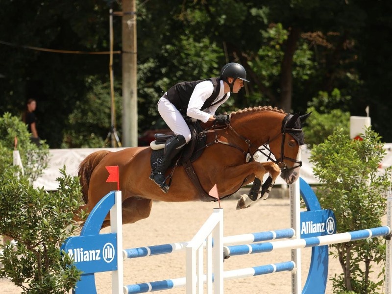 Forthago Horse thumbnail