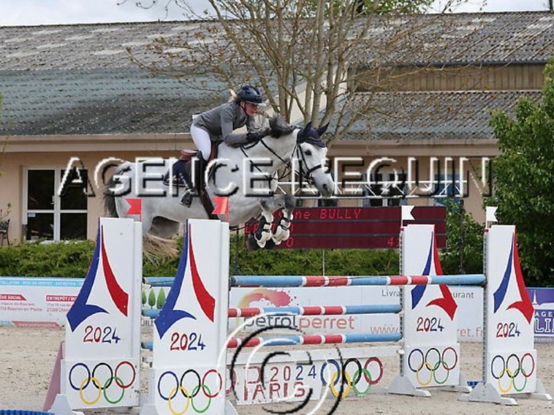 Ladino profile photo 