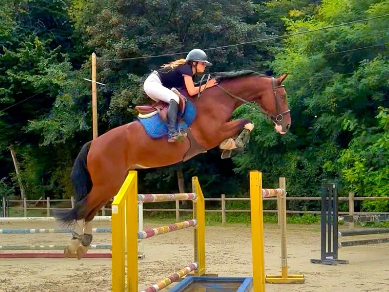 Coloreado profile photo