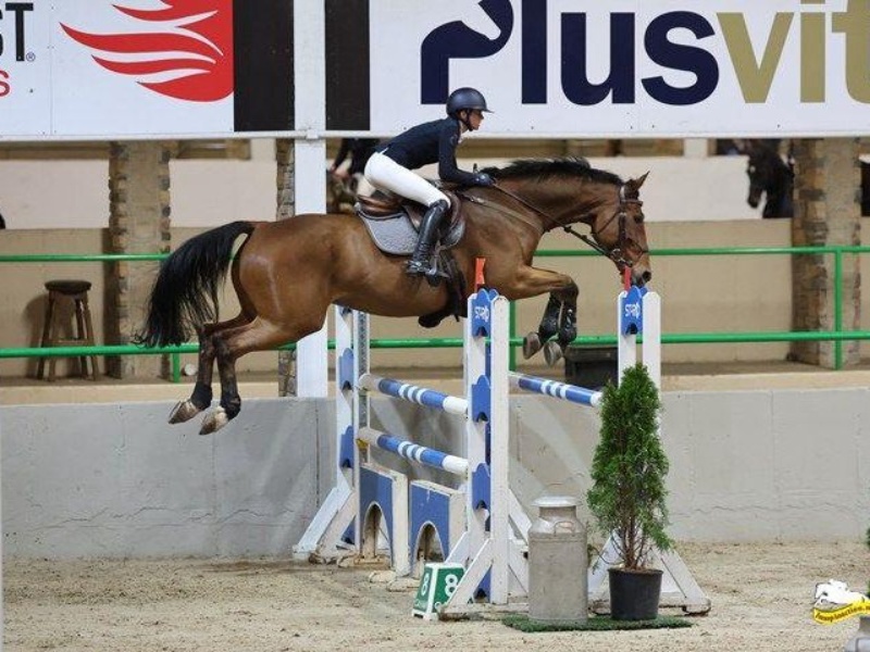 Greenhall Mr Q profile photo