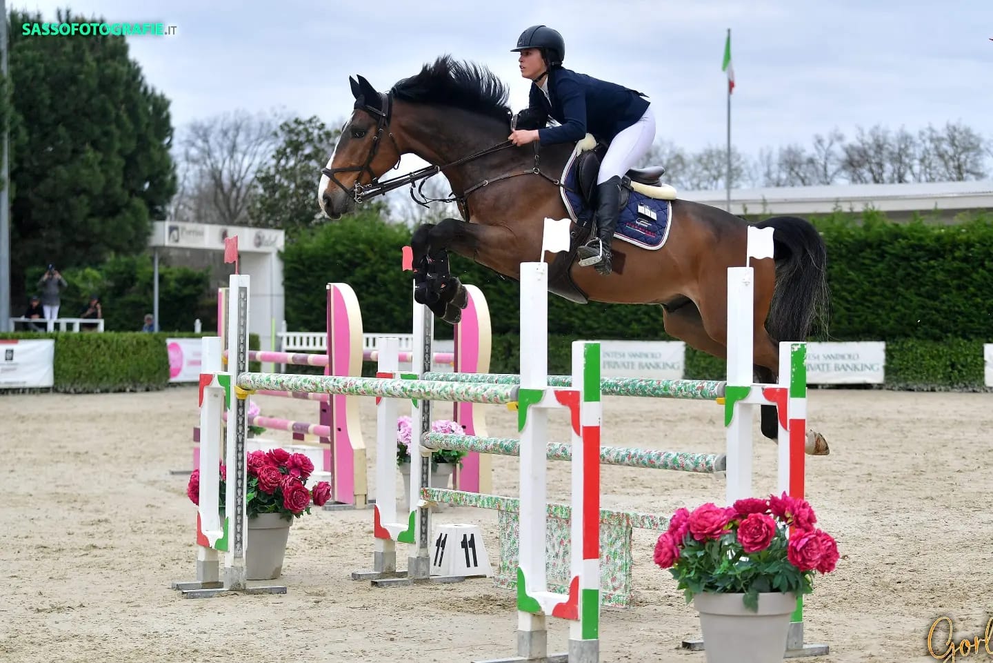 Malik van de Noordhoeve profile photo