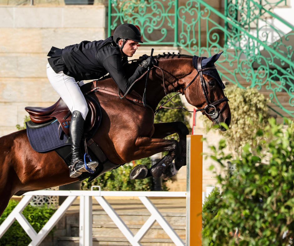 Catching Up With Bridl Horses Around the World case study image