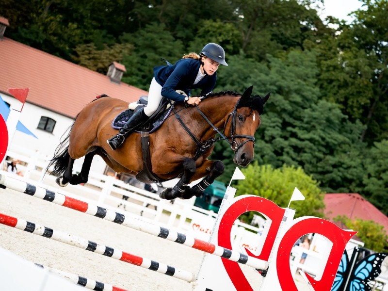 Kazanetto Pb Z profile photo