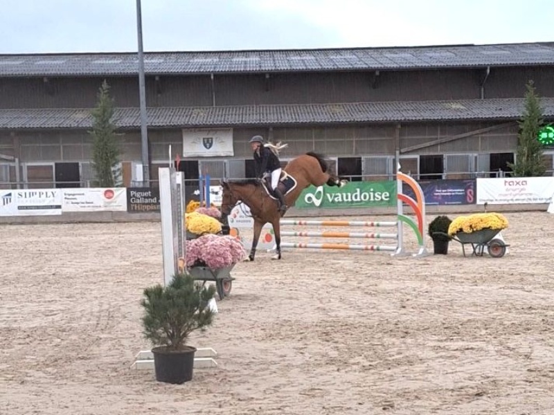 Commodores Vd Ark Z profile photo 