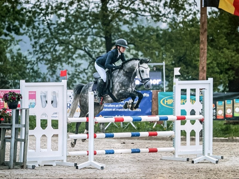 A - il est Beau de l’Otri profile photo 