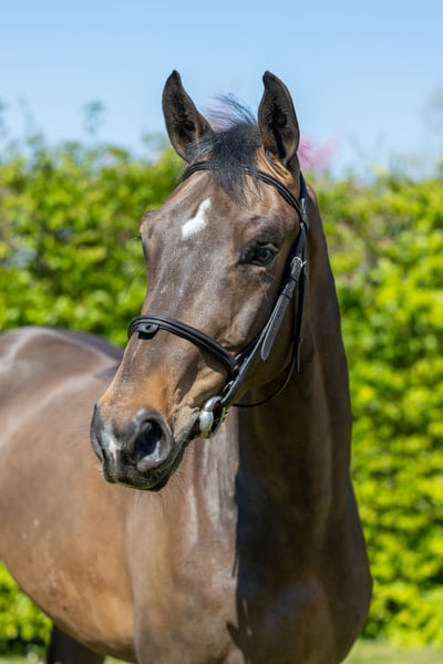 L'envi Du Viaduc profile photo 