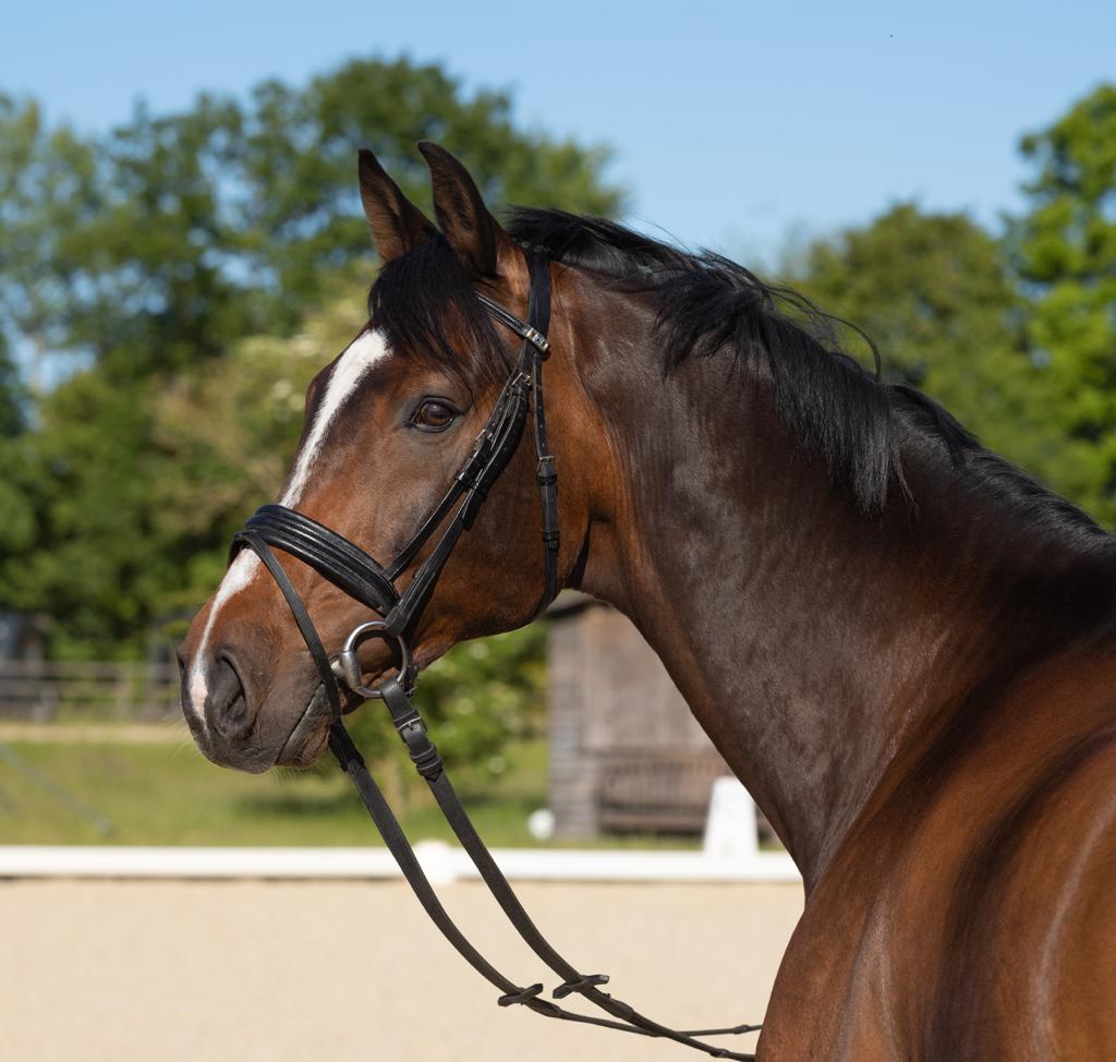 Farley 8 profile photo 