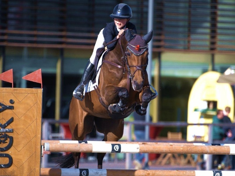 Icarda DKG profile photo 