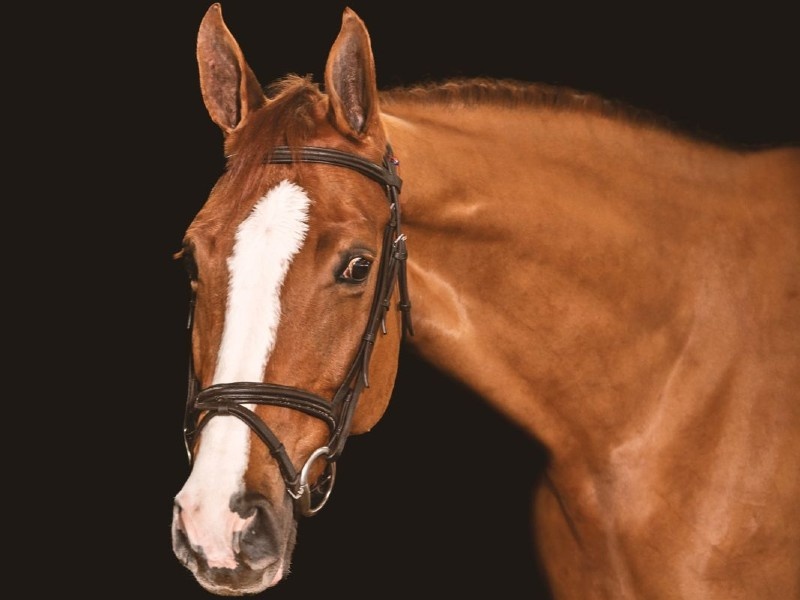 Sinderella S profile photo