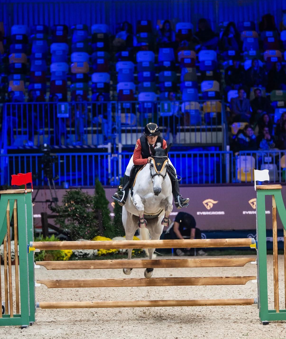 Catching Up With Angelica: Why the Right Horse at the Right Level Still Matters case study image