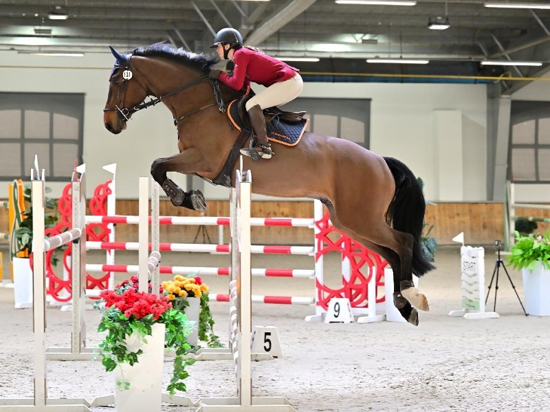 Ontario profile photo 