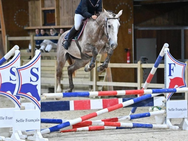 Lupin De Willems profile photo 