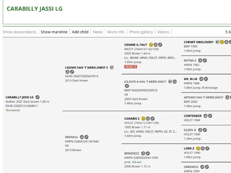 Carabilly Jassi LG profile photo