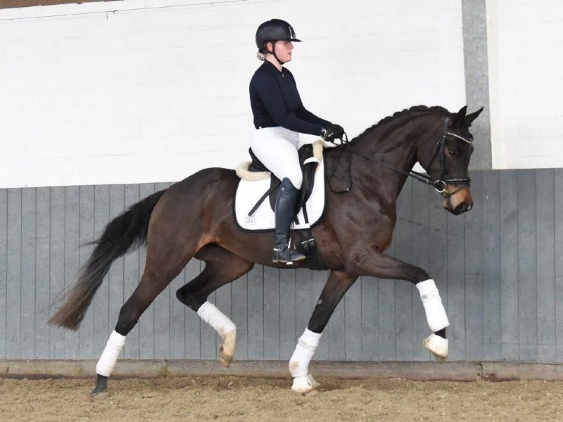 Fillyfee profile photo 