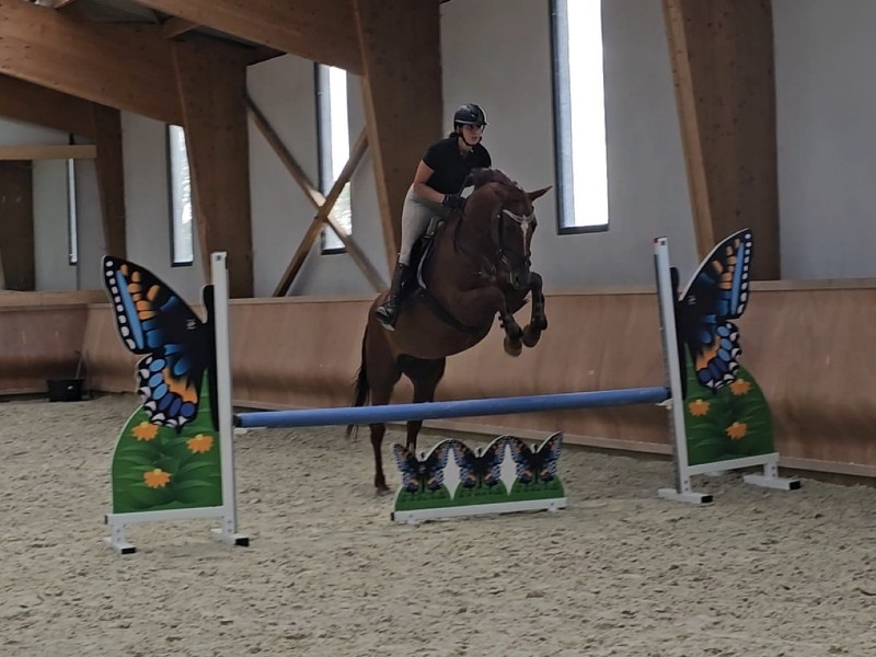 Raven d'Everdeen profile photo 