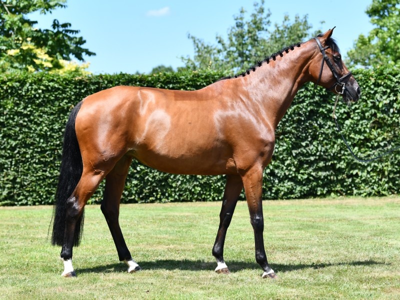 Ireka Fc profile photo