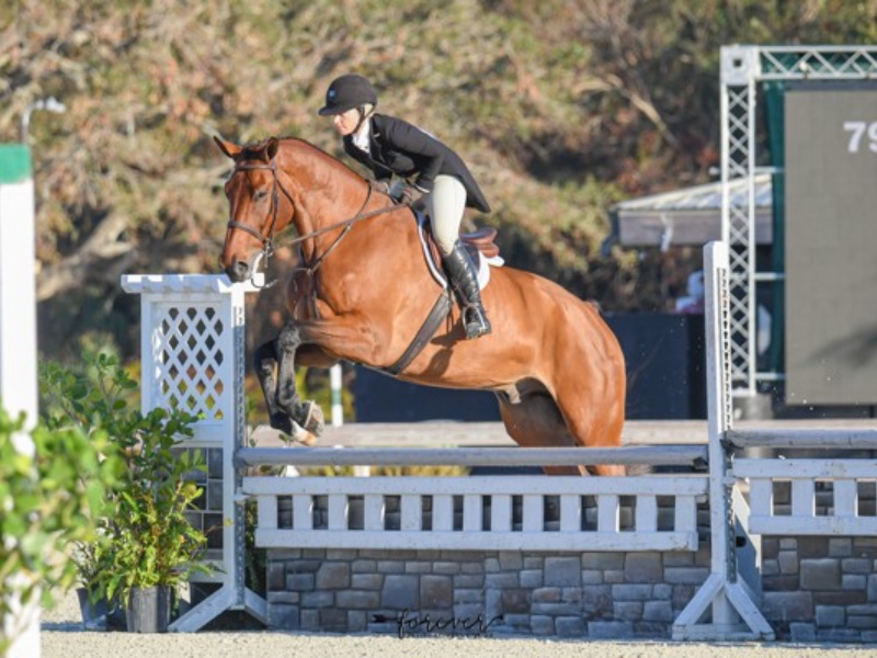 Continental Boy profile photo 