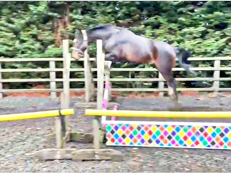 Chaccoro profile photo 