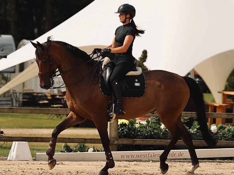 Kirwan SB profile photo