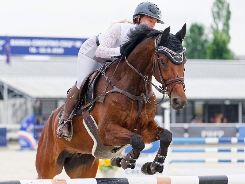 Oscar H profile photo 