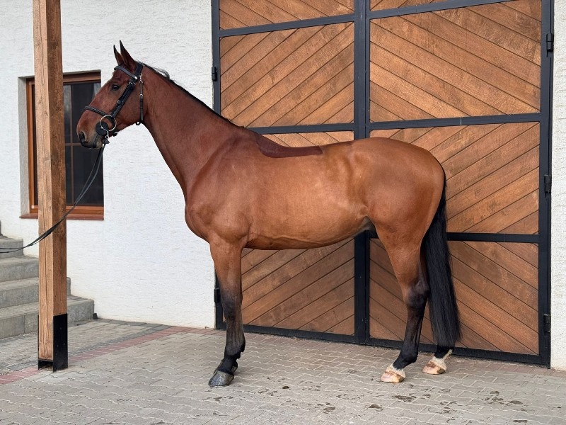 Colo Rado profile photo