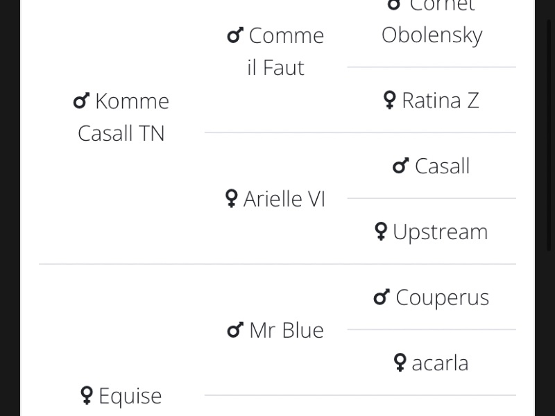 Rosalie profile photo 