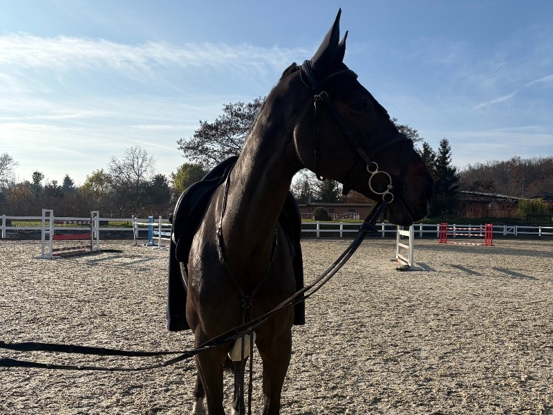 Khianula N-G profile photo 