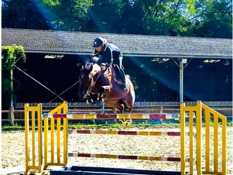 Guest De Chaux profile photo