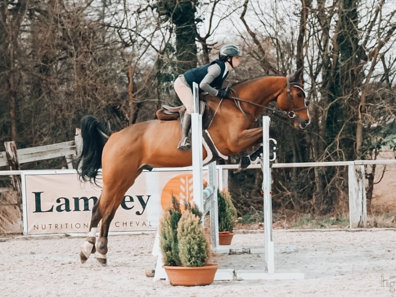 Hagilou L'euro profile photo