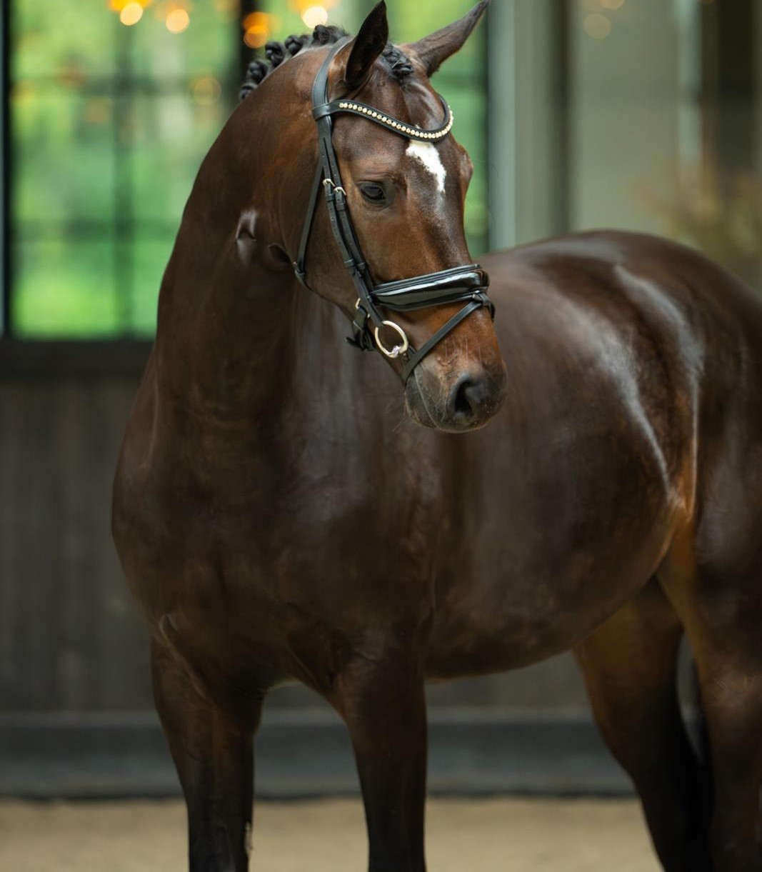 Daddy Cool profile photo 