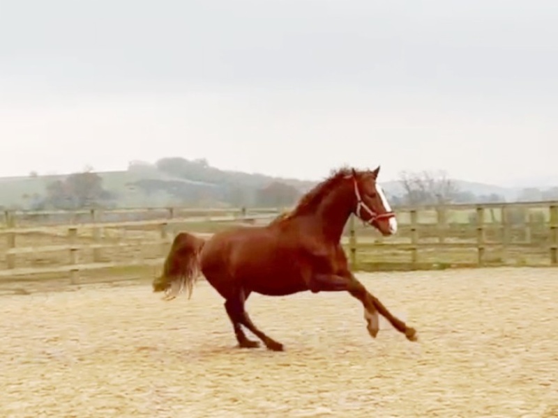 Summer Solstice Party profile photo 