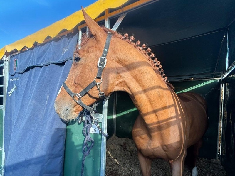 Rothschild profile photo