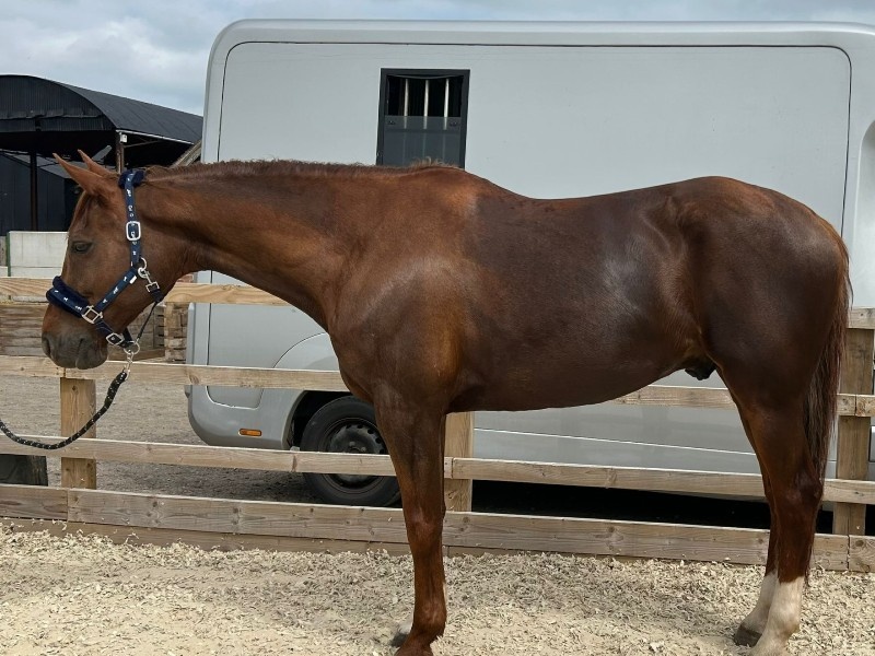 Camillo von Hary Z profile photo