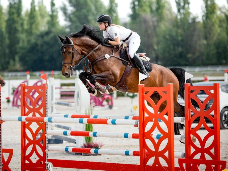 Island profile photo