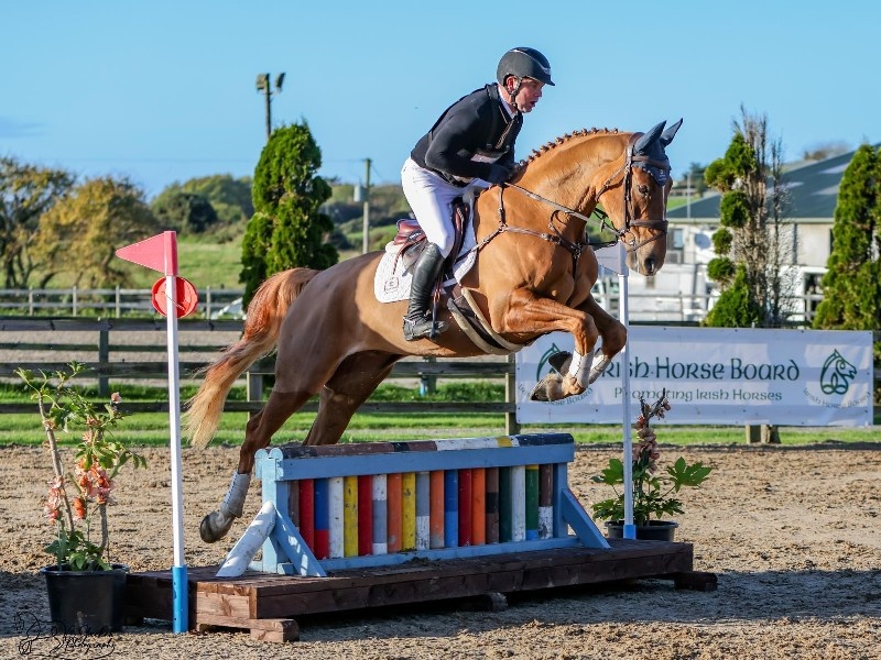 Biscuit profile photo