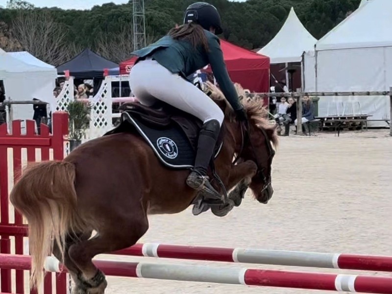 I Dream D'equitrot profile photo 