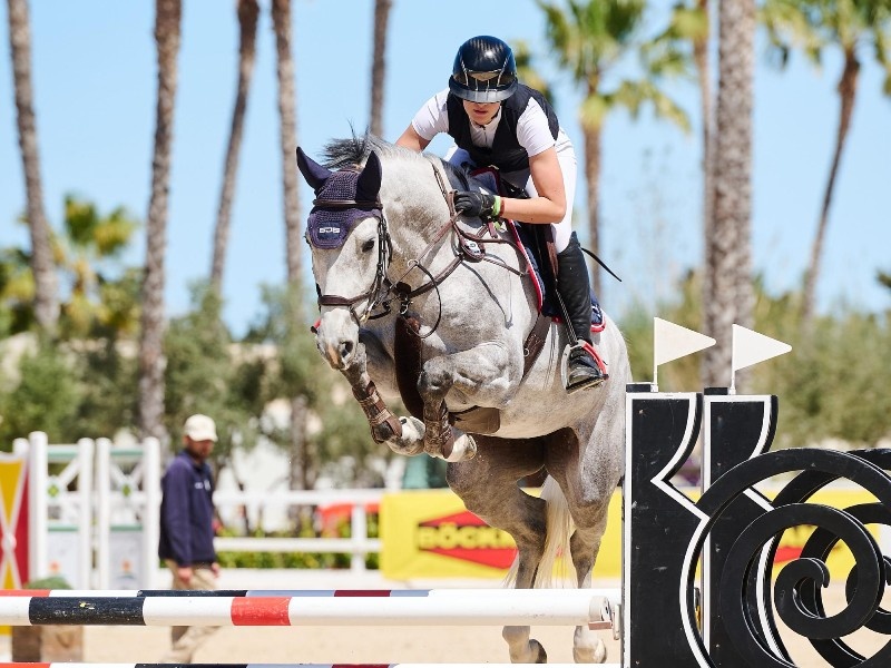 Naughty Girl V/d Edcohoeve Z profile photo 