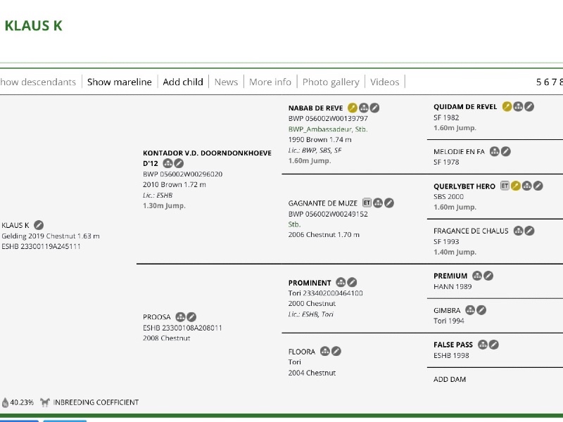 Klaus K profile photo 