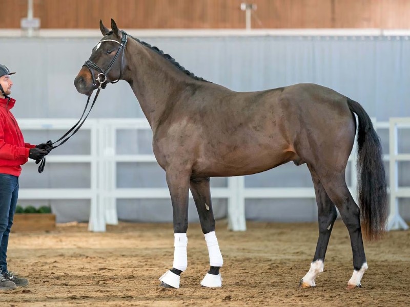 Daddy Cool profile photo