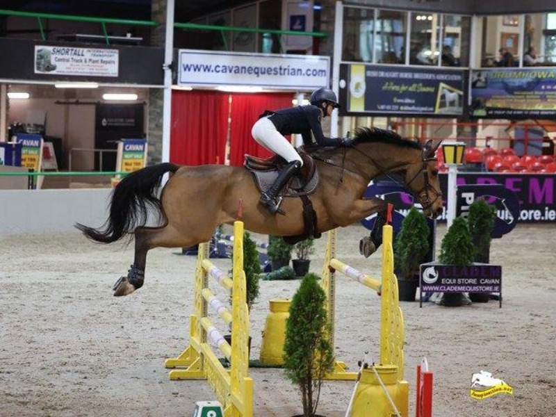 Greenhall Mr Q profile photo