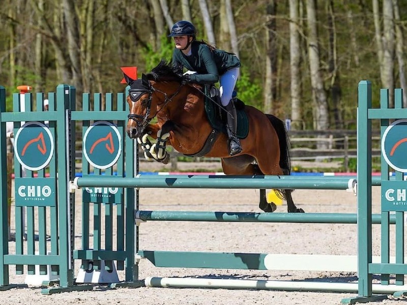 Ocarina Van De Bekerheide profile photo