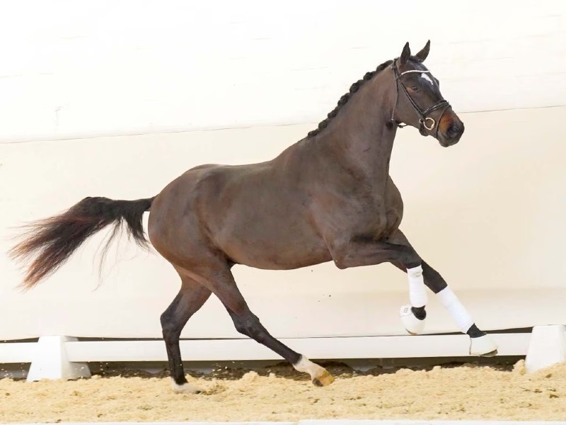 Daddy Cool profile photo 