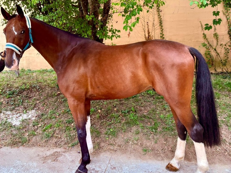 Coloreado profile photo 