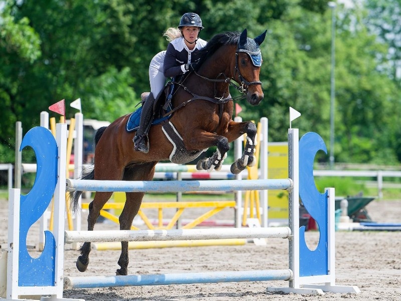 Oscar H profile photo 